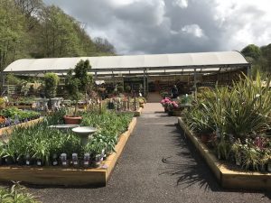 Nailsworth Garden Centre